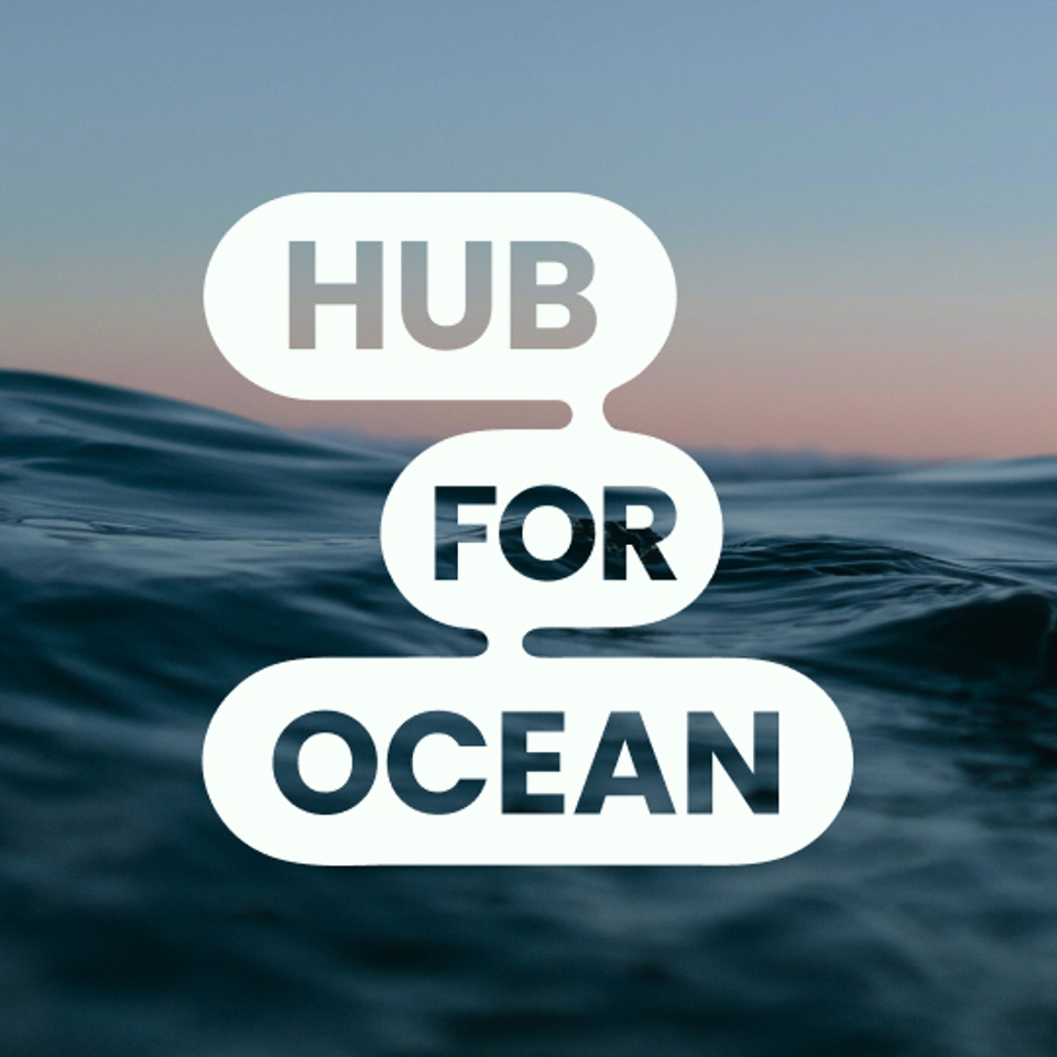 Hub for Ocean