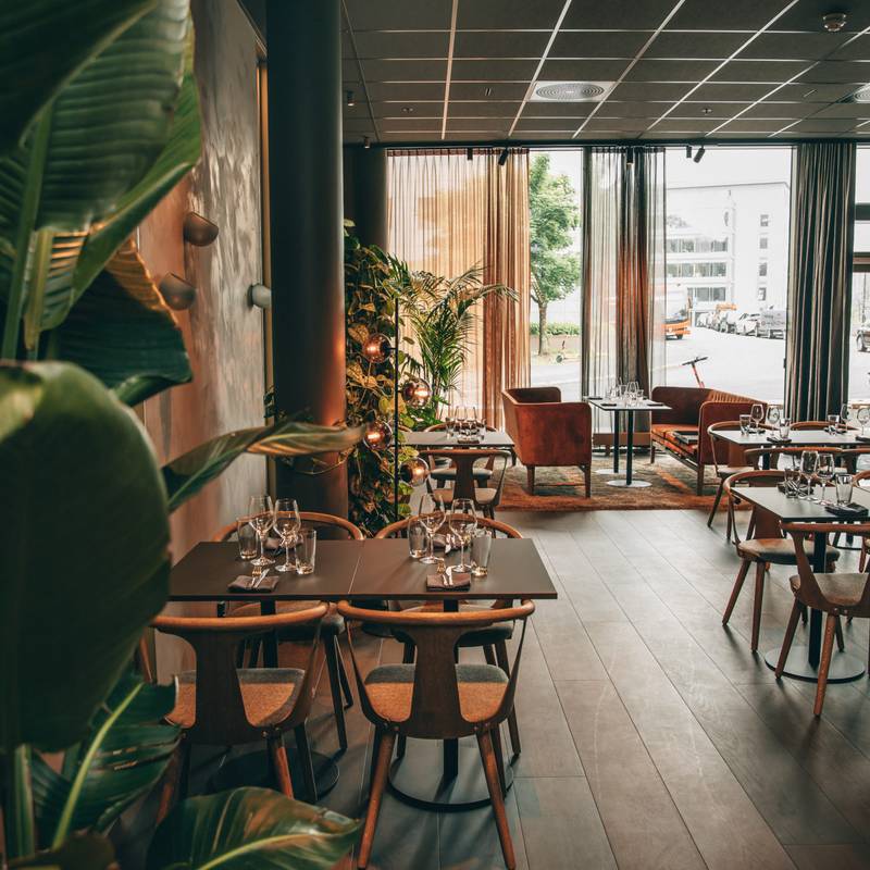 Den nye kritikerroste nabolagsrestauranten på Skøyen